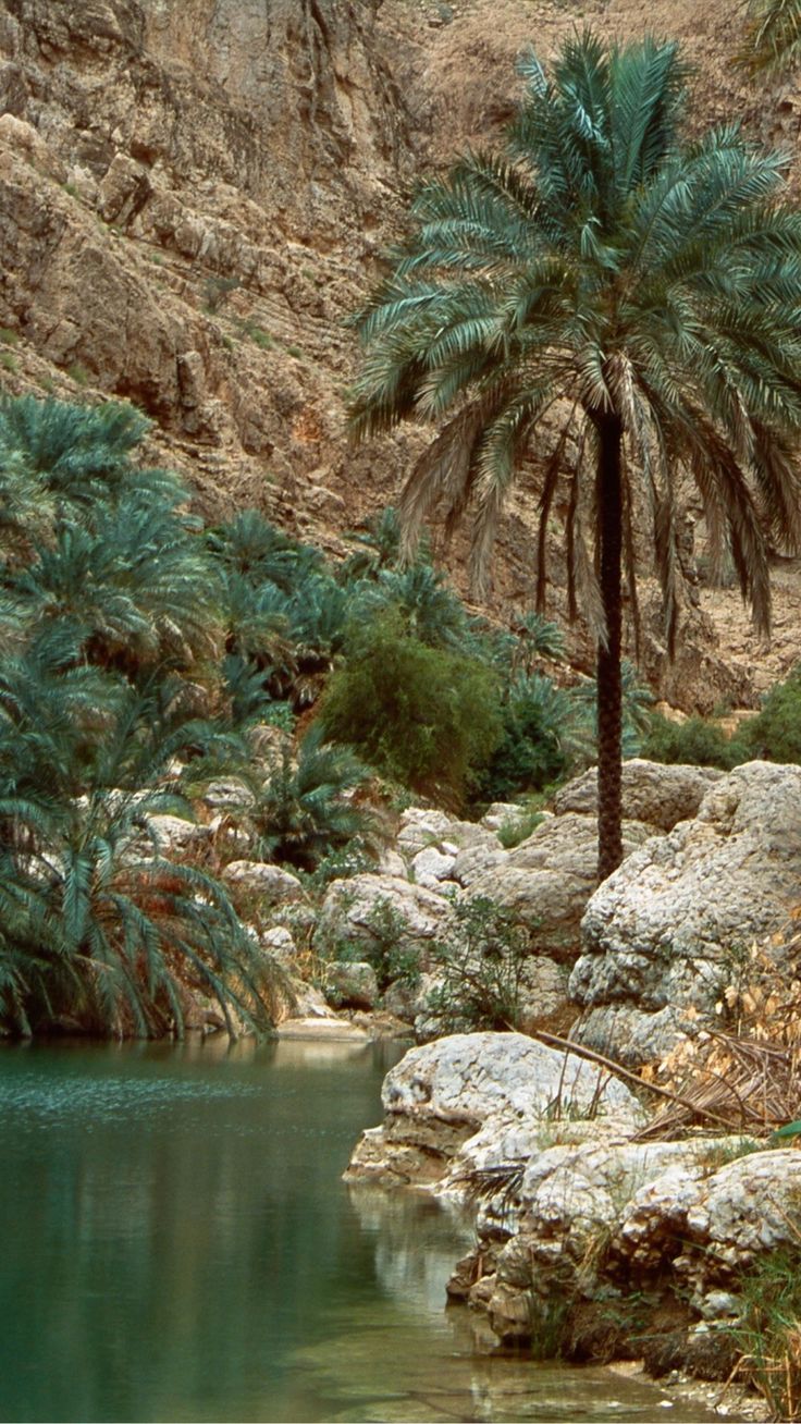 Wadi Shab Day Tour